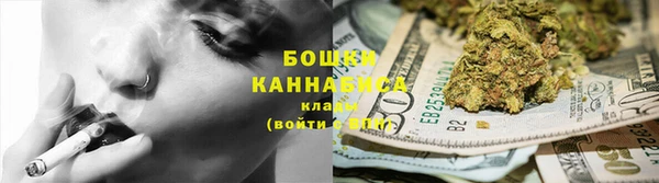прущие грибы Покровск