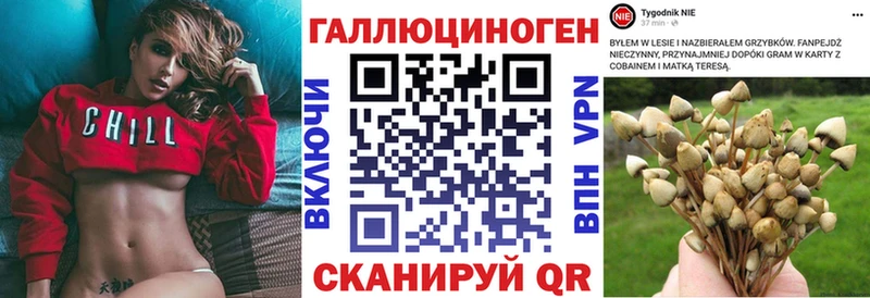 Псилоцибиновые грибы мицелий  Анива 